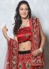 Red Net Lehenga Choli With Dupatta