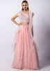 Pink Embroidered Skirt Set In Chiffon