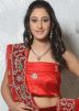 Red Net Lehenga Choli With Dupatta