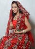 Red Net Lehenga Choli With Dupatta