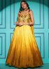 Yellow Embroidered Gown In Chiffon