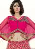 Pink A Line Net Lehenga