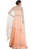 Peach Georgette & Net Cape With Skirt