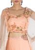 Peach Georgette & Net Cape With Skirt