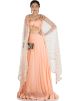 Peach Georgette & Net Cape With Skirt