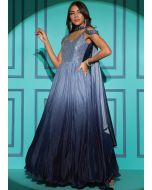 Blue Embroidered Gown With Dupatta