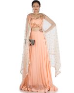 Peach Georgette & Net Cape With Skirt